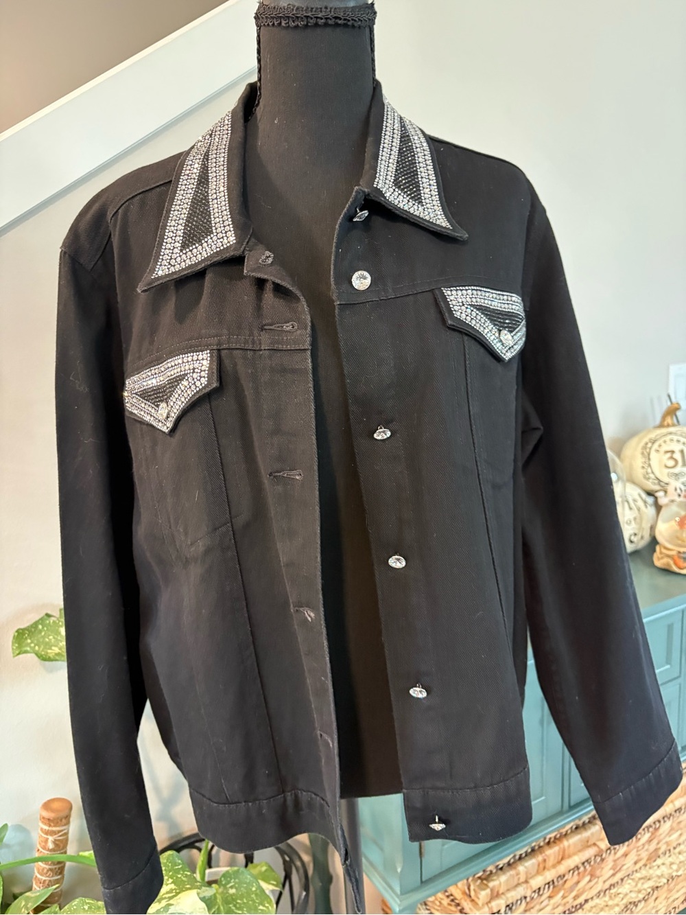 Black Embellished Collar & Pocket Jacket